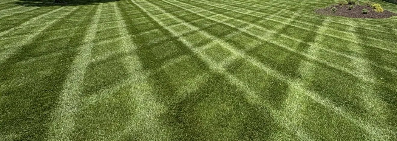 Uniform lawn with a crosshatch mowing pattern