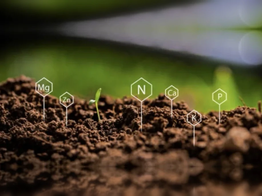 Lime & Soil Testing service by Volunteer Turf