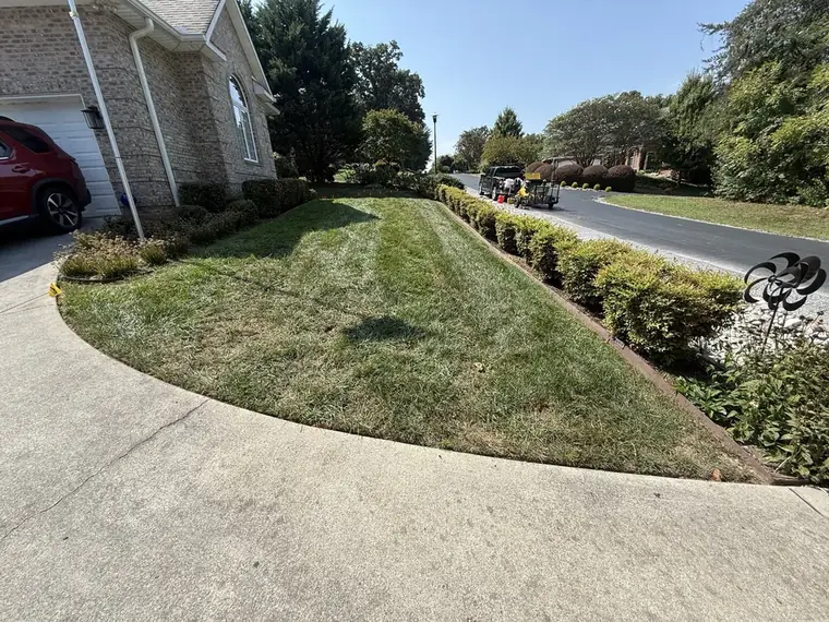 Before: front lawn along the driveway