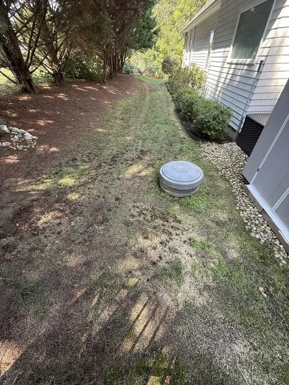 Before: side yard along the house